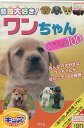 動物大好き ワンちゃん スペシャル100【中古】中古DVD