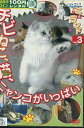 ねこ(猫)ざ ランド 3 チビねこ、猫、ニャンコがいっぱい【中古】中古DVD