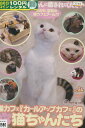 猫カフェ「カールアップカフェ」の猫ちゃんたち【中古】中古DVD