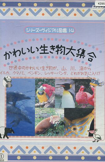 【中古】 謎めく野生の大地（Blu－ray　Disc）／（趣味／教養）