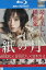 【中古Blu-ray】紙の月 /宮沢りえ 大島優子 小林聡美 田辺誠一 近藤芳正【中古】中古ブルーレイ 350円