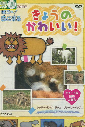 楽天テックシアターきょうのかわいい！　キュートな動物大集合【中古】中古DVD