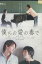 僕らの愛の奏で /渡航輝 内山眞人【中古】【邦画】中古DVD 210円