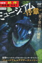 ミュージアム−序章− /三浦誠己【中古】【邦画】中古DVD