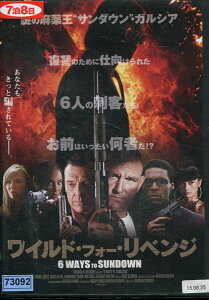 ワイルド・フォー・リベンジ /ヴィニー・ジョーンズ 【字幕のみ】【中古】【洋画】中古DVD
