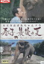 天王寺おばあちゃんゾウ 春子 最後の夏【中古】【邦画】中古DVD