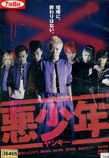 悪少年 ヤンキー/玖導成近 松木シュンドウ 留川真帆 奈之未夜 藤田佳秀【中古】【邦画】中古DVD