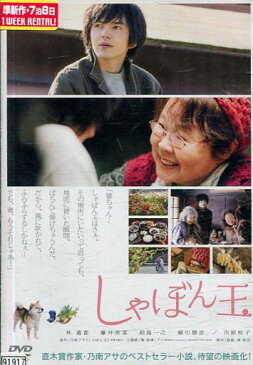 しゃぼん玉 /林遣都　藤井美菜　市原悦子【中古】【邦画】中古DVD