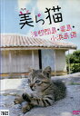 美ら猫 波照間島・黒島・小浜島編【中古】中古DVD