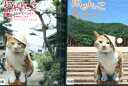 にゃんこ THE STORY 【全2巻セット】【中古】中古DVD