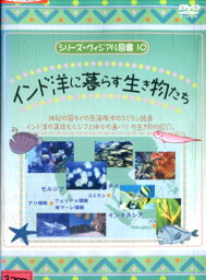 シリーズ・ヴィジアル図鑑10 インド洋に暮らす生き物たち【中古】中古DVD