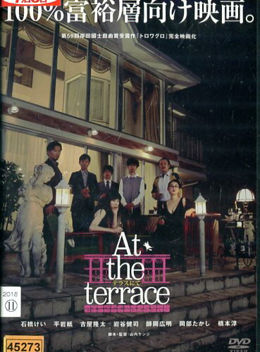 At the terrace　テラスにて/石橋けい　平岩紙 中古DVD