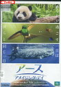 アース アメイジング・デイ【中古】中古DVD