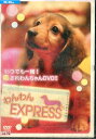 わんわんEXPRESS【中古】中古DVD