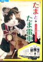 【注意】 ● レンタル落ちの中古商品になります。詳しくは商品についてのご案内ページをご覧ください。 ● 掲載されている画像はイメージです。実際の商品とは異なる場合が御座います。 ● お買い求めの前に「商品について」をご確認いただきました後、ご検討ください。 　