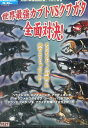 世界最強カブトVSクワガタ全面対決【中古】中古DVD