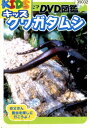 自然なぜなに? DVD図鑑 クワガタムシ【中古】中古DVD