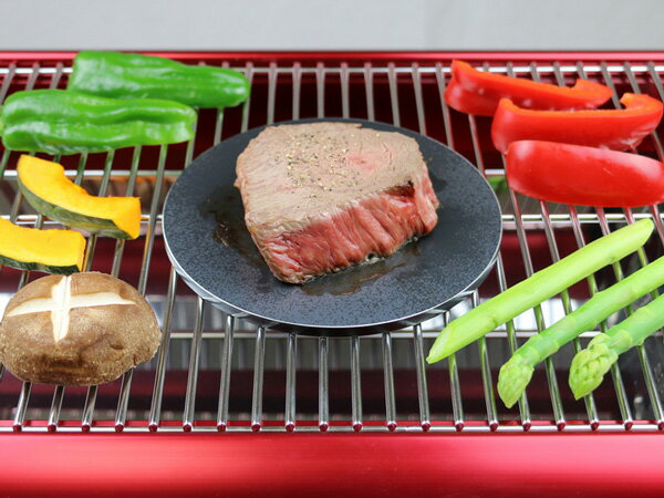 ZEOOR(ゼオール)極厚ミニプレート バーベキューグリル焼網用 お試しサイズ 板厚6.0mm 100mm x 150mm通販格安セール情報 楽天 通販