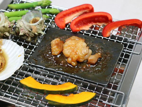 ZEOOR(ゼオール)極厚ミニプレート バーベキューグリル焼網用 お試しサイズ 板厚6.0mm 100mm x 150mm通販格安セール情報 楽天 通販