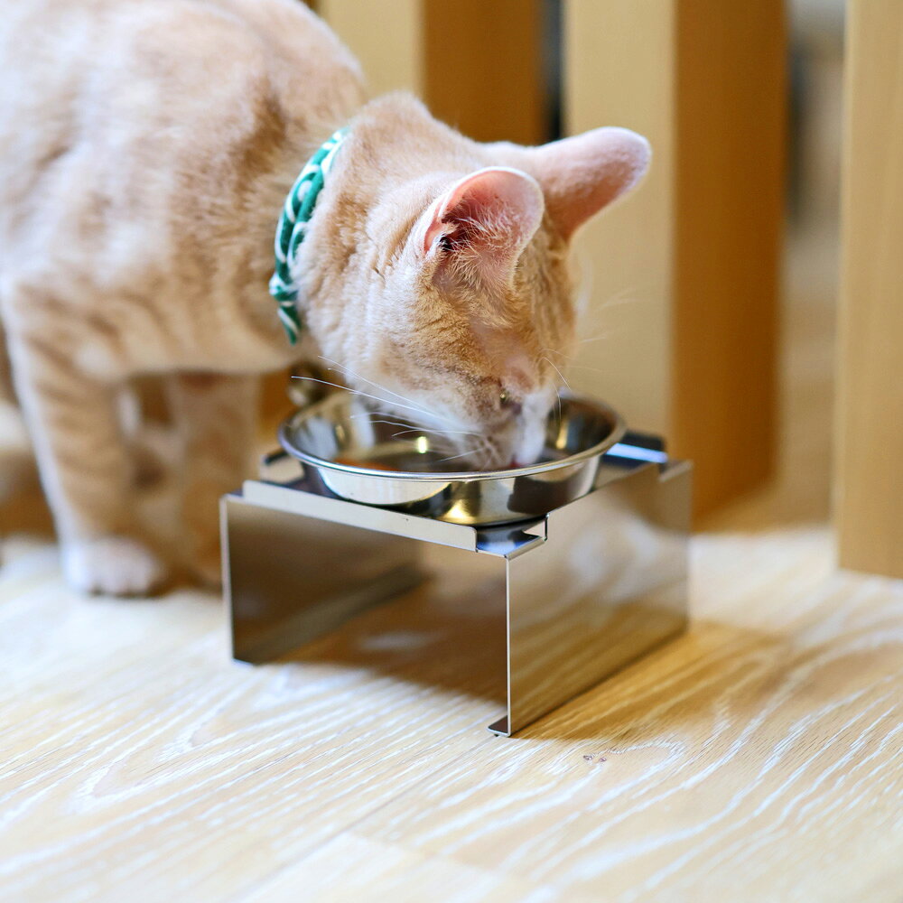 【レビュー特典】犬 猫 食器台 フードボウルスタンド 選べる3サイズ S M L 高さ違い スタンドのみ 落下防止 食べやすい 吐き戻し防止 むせ防止 ご飯台 餌台 エサ台 お水台 ペット食器台 小型犬 中型犬 子猫 シニア 首の負担軽減 シンプル おしゃれ 多頭飼い ZEOOR auc-teppan-hiroba-10006931 鉄板広場 サンプル画像3
