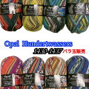 Opal 毛糸 フンデルトヴァッサー 1