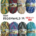 Opal 毛糸Regenwald19（レーゲンヴァルト19）【中細】全8玉セット福袋