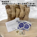夏到来! 特別笹和紙フラットセット(選べる同色1袋5個)【送料無料】