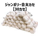 テライオリジナル ジャンボリー純毛【 合 太(あいぶと)】おまとめ買い『30カセ 』(染色用毛糸250g)