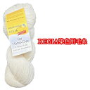 【マラソン期間中】REGIA Hand-Dye 4-ply （レギア 染色用中細毛糸）100gカセ巻