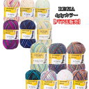REGIA 毛糸50g4ply カラー【バラ玉販売】