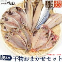 レビュー2200件突破の◆訳あり干物おまかせセット◆ 【送料込み】干物詰合せ アウトレット コスパ重 ...