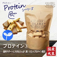 プロテイン3種　倉敷おからクッキー (プレーン、チョコチップ、ココアのミックス)“プロテイン”配合で筋肉づくりやケアに大切なたんぱく質UP！