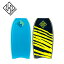 HUBBOARDS HUBB EDITION HD - 40åϥ֥ܡɡϥ֥ǥץܥǥܡɡܥǥܡɡBODYBOARDBodyboardsHUBBϥ