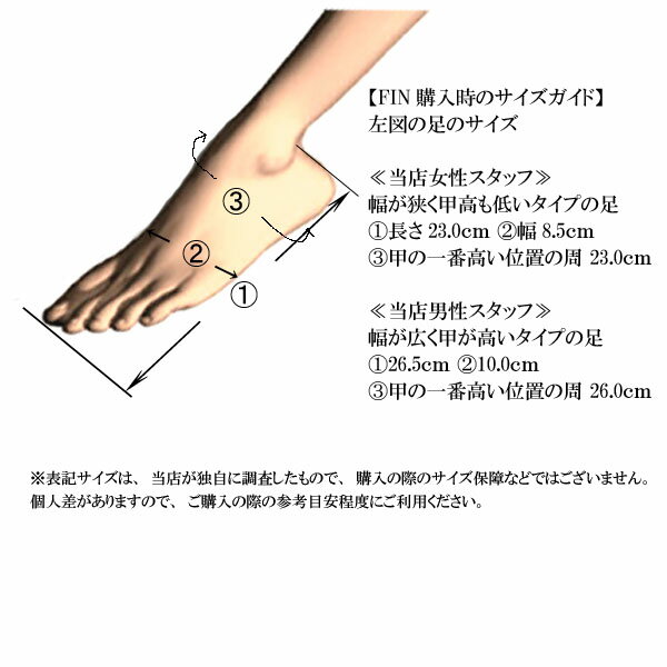 OCEAN&EARTH FIN SOCK���ե��󥽥å������ܥǥ��ܡ����ѥե��󥽥å����ʤ����Ȥʤ�������/�ա��������˥��å������ե��󥽥å������֡���