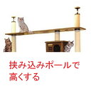 【代引き不可】【挟み込みポールで高くする】 300mmポール×2本セット(天井高 2600mm〜2800mm対応)★ご要望欄でご使用のキャットタワーの名称をお知...