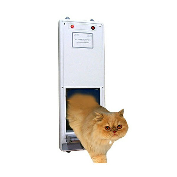 【当店オススメ】【猫・小型犬用自動ドア】オートマチック自動ドア（入口サイズ：165mm×H195mm）[センサーで自動にドアが開きます]【猫 ドア キャットドア】【野良猫侵入防止ドア】【大人気】