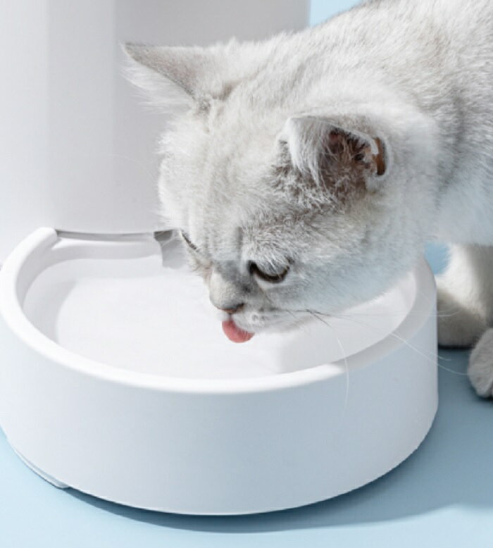 �ڥå��Ѽ�ư�۴ļ�������ɲ�ե��륿���դ��� ��05P21Mar22��