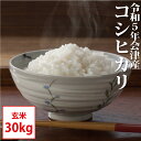 コシヒカリ 玄米 30kg 会津産 令和5年産 お米