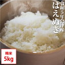 はえぬき 精米 5kg 会津産 令和5年産 お米 ※九州は送料別途500円・沖縄は送料別途1000円