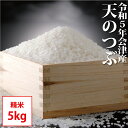 天のつぶ 精米 5kg 会津産 令和5年産 お米 ※九州は送料別途500円・沖縄は送料別途1000円