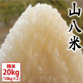 【なくなり次第販売終了】山八米 20kg（10kg×2）お米 ※沖縄は送料別途1000円