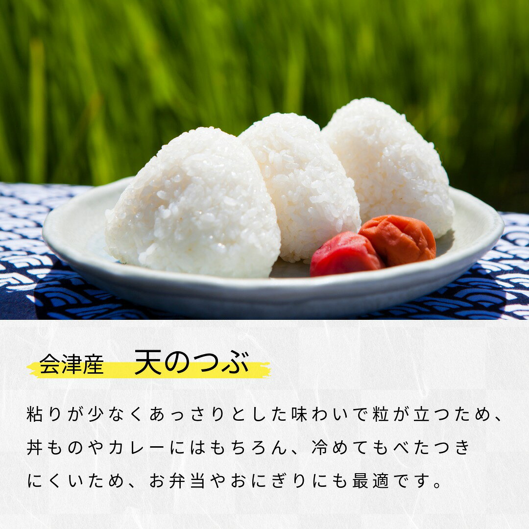 福島県オリジナル品種　炊き上がりふっくら、粒がそろった美しい米　天のつぶ 福島県 会津産 令和7年産 米 10kg (5kg×2) 白米 精米 お届け日指定不可
