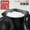 【23日P10倍】炊飯器 電子レンジ専用炊飯器 2合炊き 安
