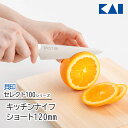 【着後レビューでプレゼント】貝印 KAI セレクト100 包丁ペティナイフ ナイフ 果物ナイフ キッチン用品 シンプル 小さめ コンパクトサイズ フルーツ 食洗...