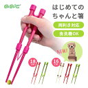 【着後レビューでプレゼント】 トレーニング箸 子供トレーニング箸 子供用箸 左利き 右利き 矯正 箸トレーニング ちゃんと はし 18cm 16cm グリーン ...
