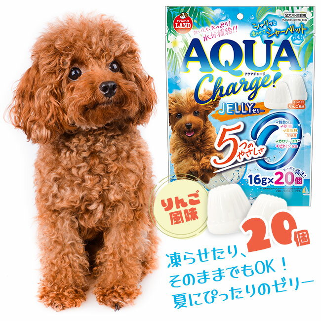 犬用 おやつ 1袋 シャーベット ゼリー 水分補給 さわやか りんご風味 凍らせる 間食用 夏 食後 散歩後 運動後 イヌ用 脂成分不使用 砂糖不使用 着色料不使用 サマー【▲5】【LPE】/アクアチャージゼリー16g20個