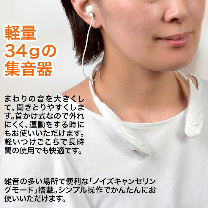 【トリコインダストリーズ】アイビル E スタンド組み立て式ミラースタンド AIVIL トリコインダストリーズ