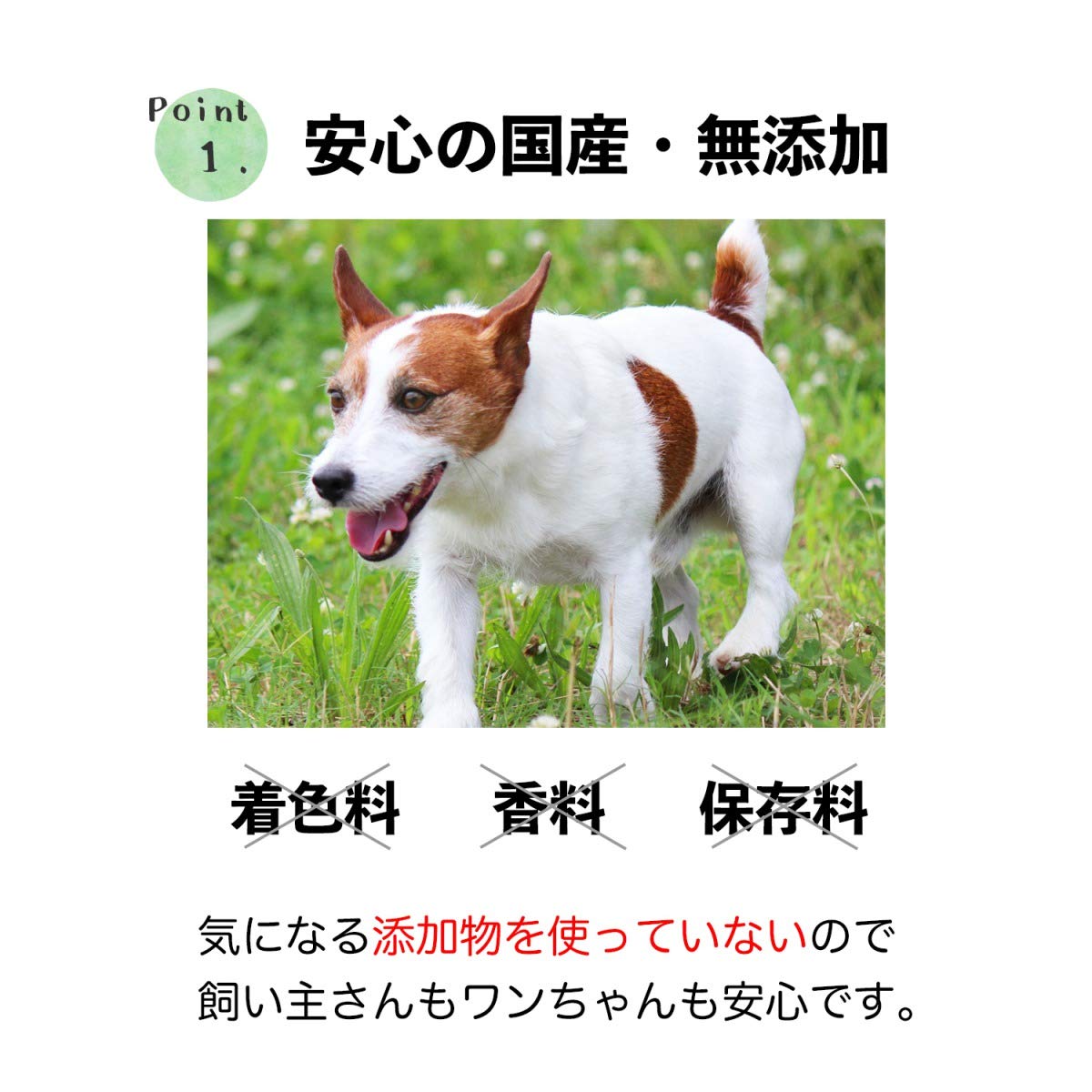 【送料無料】【国産】無添加・ペット・おやつ・イヌ・いぬ・犬・ワンちゃん・無添加・無着色・安心、安全・ハードな噛み心地で歯磨き効果もあってストレス解消・ひづめ・犬のおやつ・骨ガム・長持ち・ストレス解消・牛のひずめ【☆】/牛のひづめ10個セット