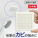 カビ予防剤 浴室用 日本製 バイオの職人 カビ防止 カビ対策 掃除 湿気対策 安