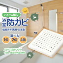 【着後レビューでプレゼント】カビ予防剤 浴室用 日本製 カビ防止剤 バイオの職人 1個 2個 4個 カビ防止 カビ取り カビ対策 掃除 湿気対策 風呂 安心 お...